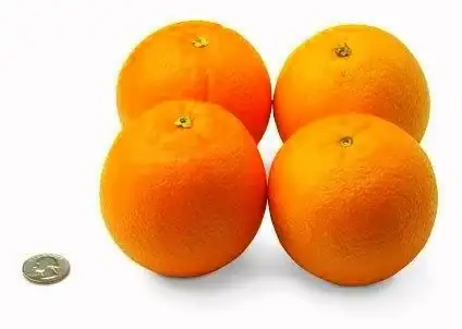 31oranges.webp