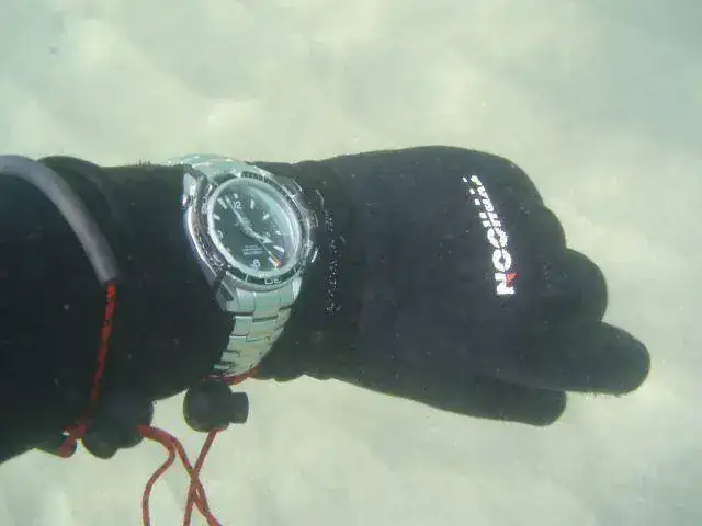 325626713-scuba-diving-omega-planet-ocean-p4110688.webp