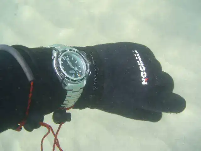 325626713-scuba-diving-omega-planet-ocean-p4110688.webp