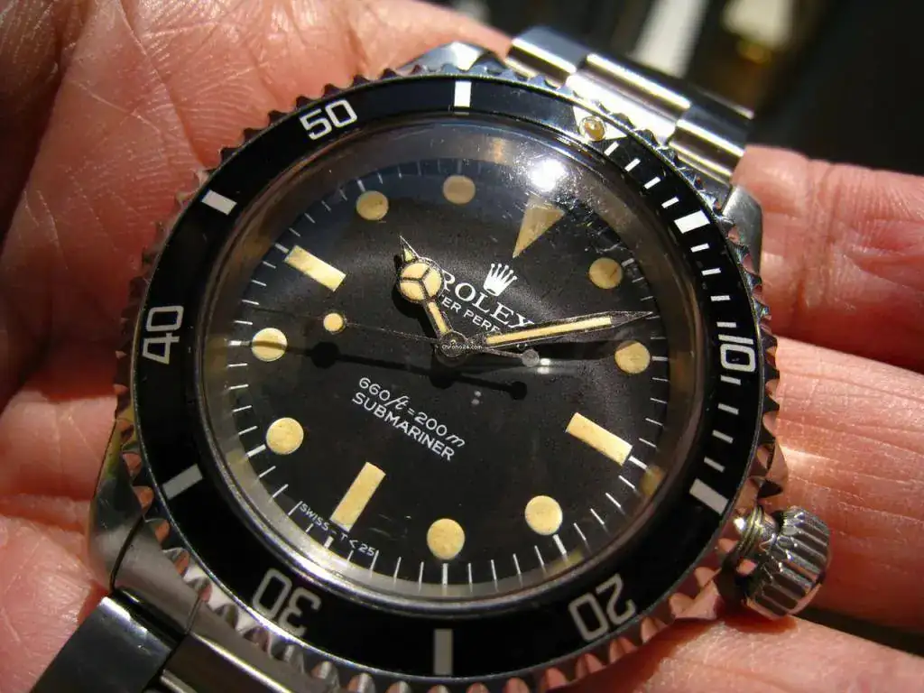 3283883_xxl.webp