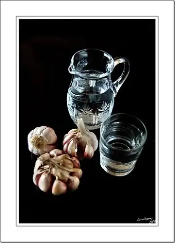 3315439754_e2ecb1e9ef.webp