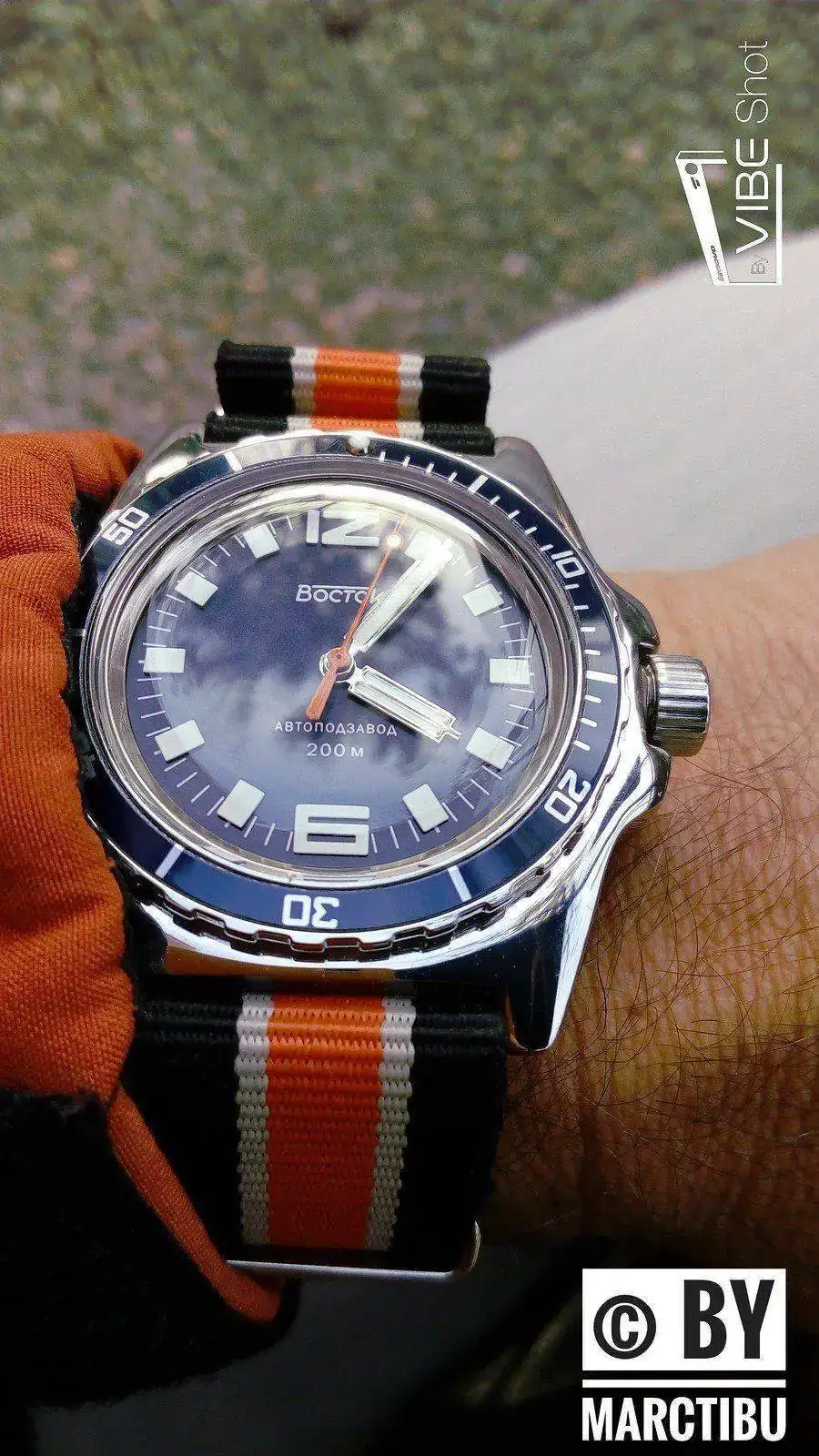33662962944_b0ec4f93e3_h.webp