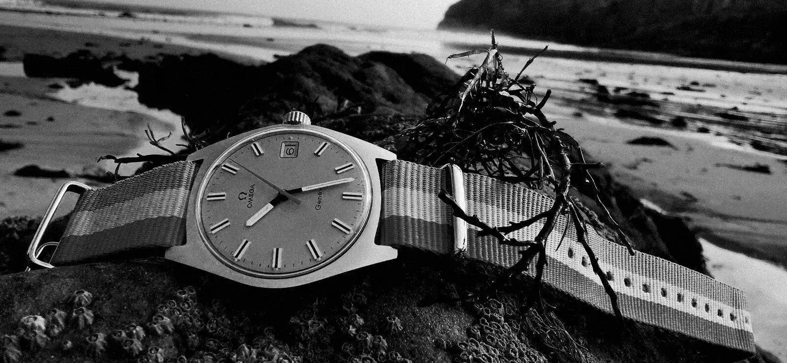 33940928-AC58-4EDC-A46D-22D7680EFCFE.jpeg