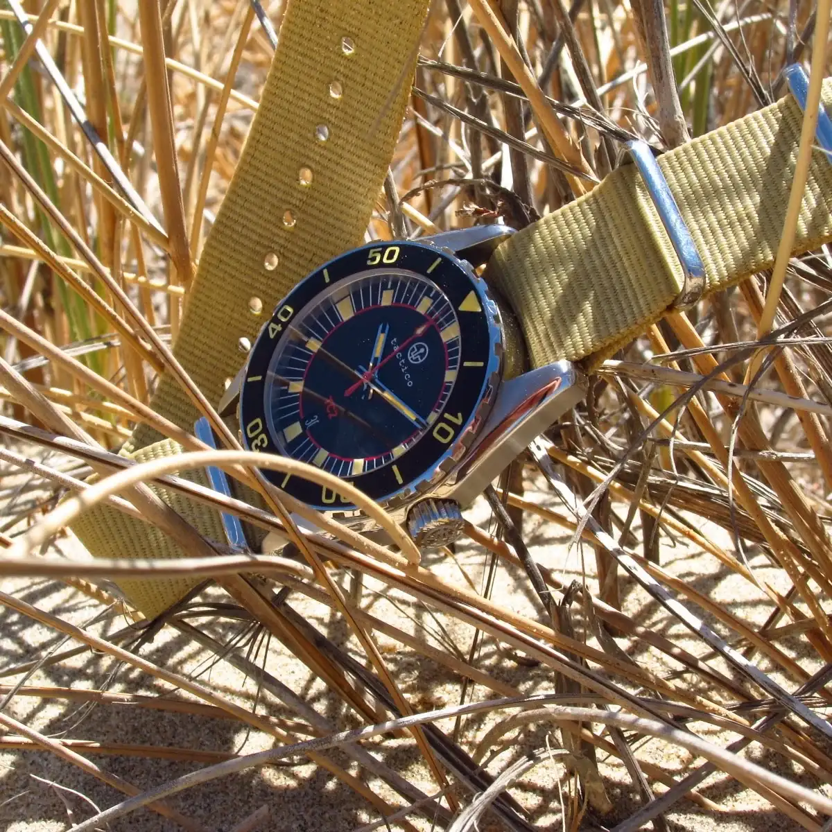 343753837-tactico-tc2-last-availabe-units-img_0590.webp