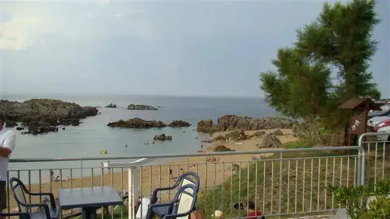 34587740.webp