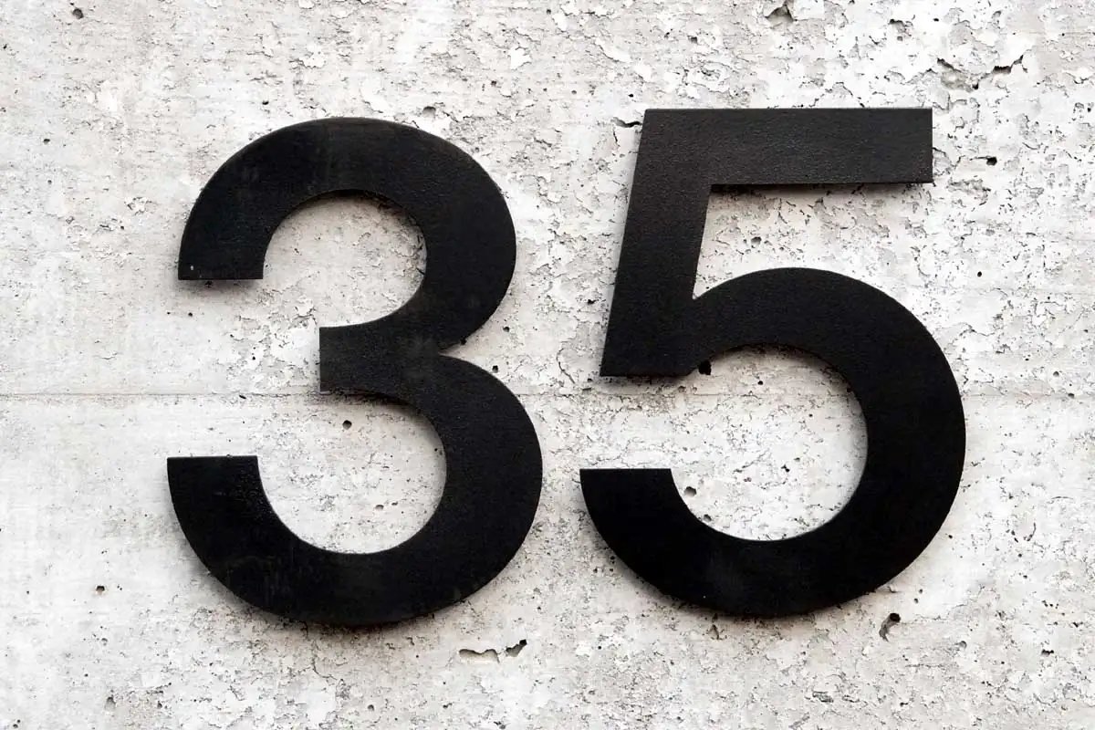 351.webp