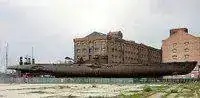 36205250_5f963cab00a.webp