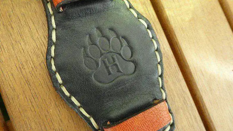 36941263585_107c6c5a5e_c.webp