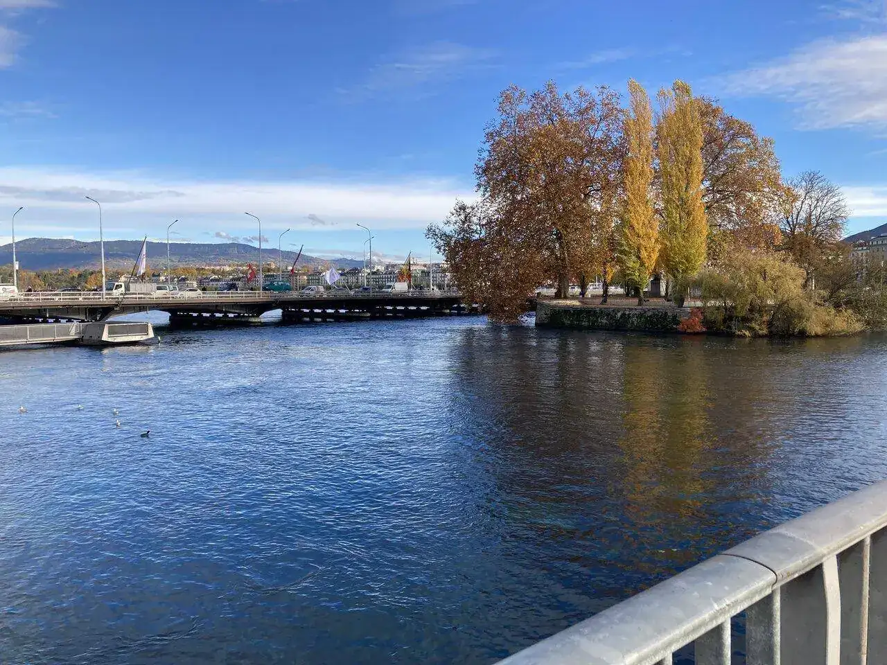 36C44743-56F6-4D20-B85D-FF75637B0DEC.jpeg