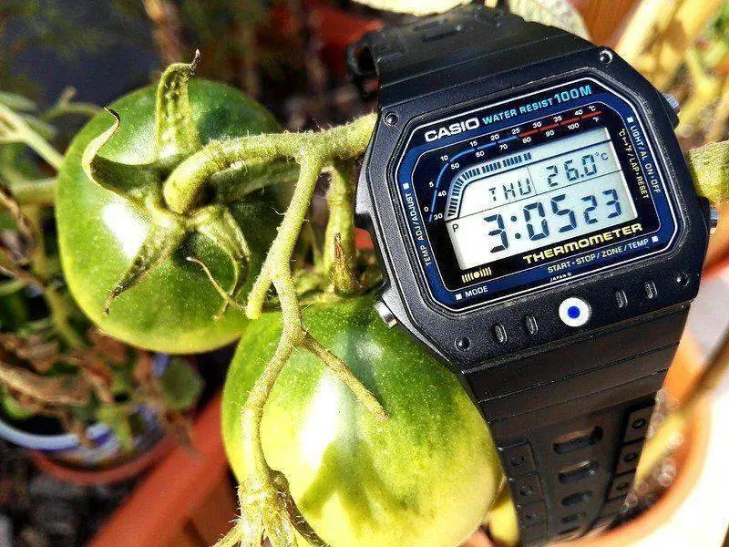 Relojes 2024 casio viejos