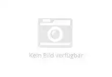 371-Bullhead_1.webp