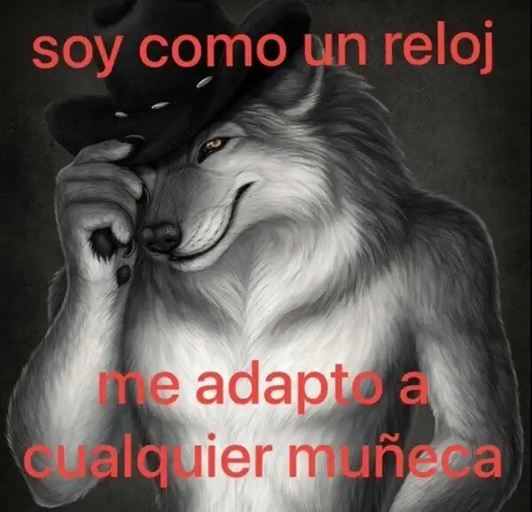 371240c39f6cbe01170a9cf1_meme_otros_todo_un_truhan.webp