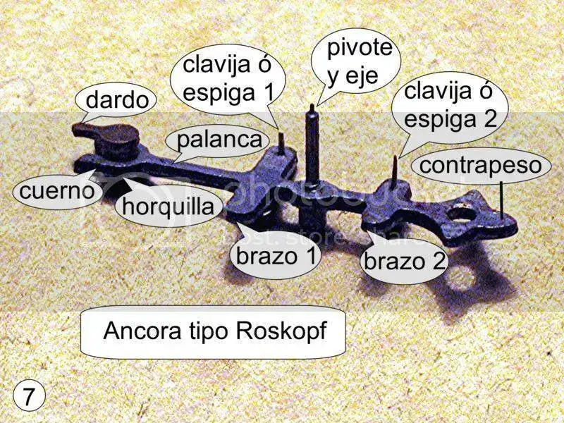 37537626.webp