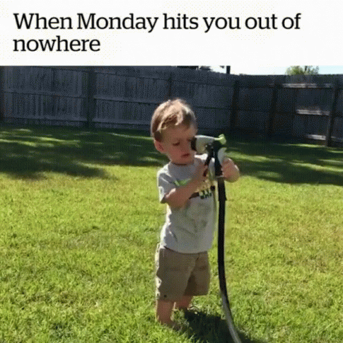 38389314-55-C8-44-BF-B82-E-FBEF2-D024466.gif