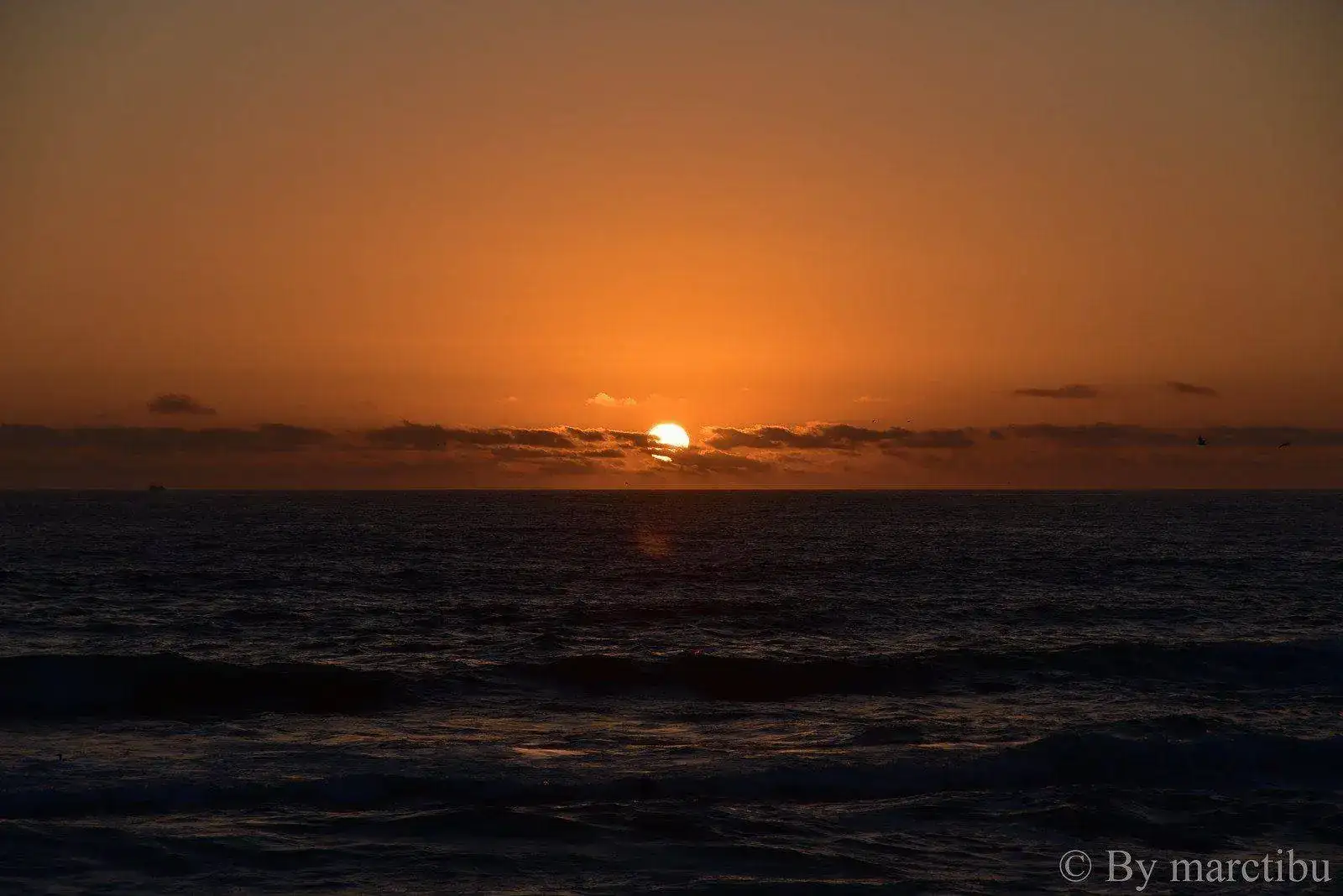 38901490301_61f3ca22db_h.webp
