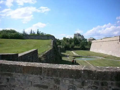 392435863_3a31bf1088.webp