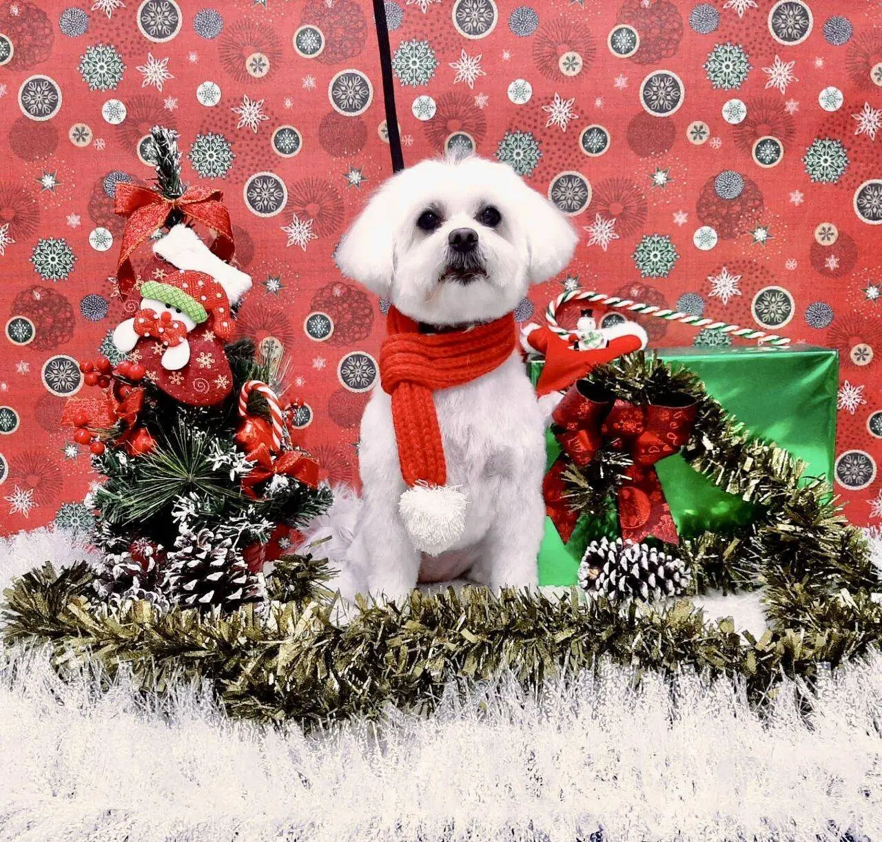 3959749F-0917-4184-86D4-FDCA29A89D73.webp