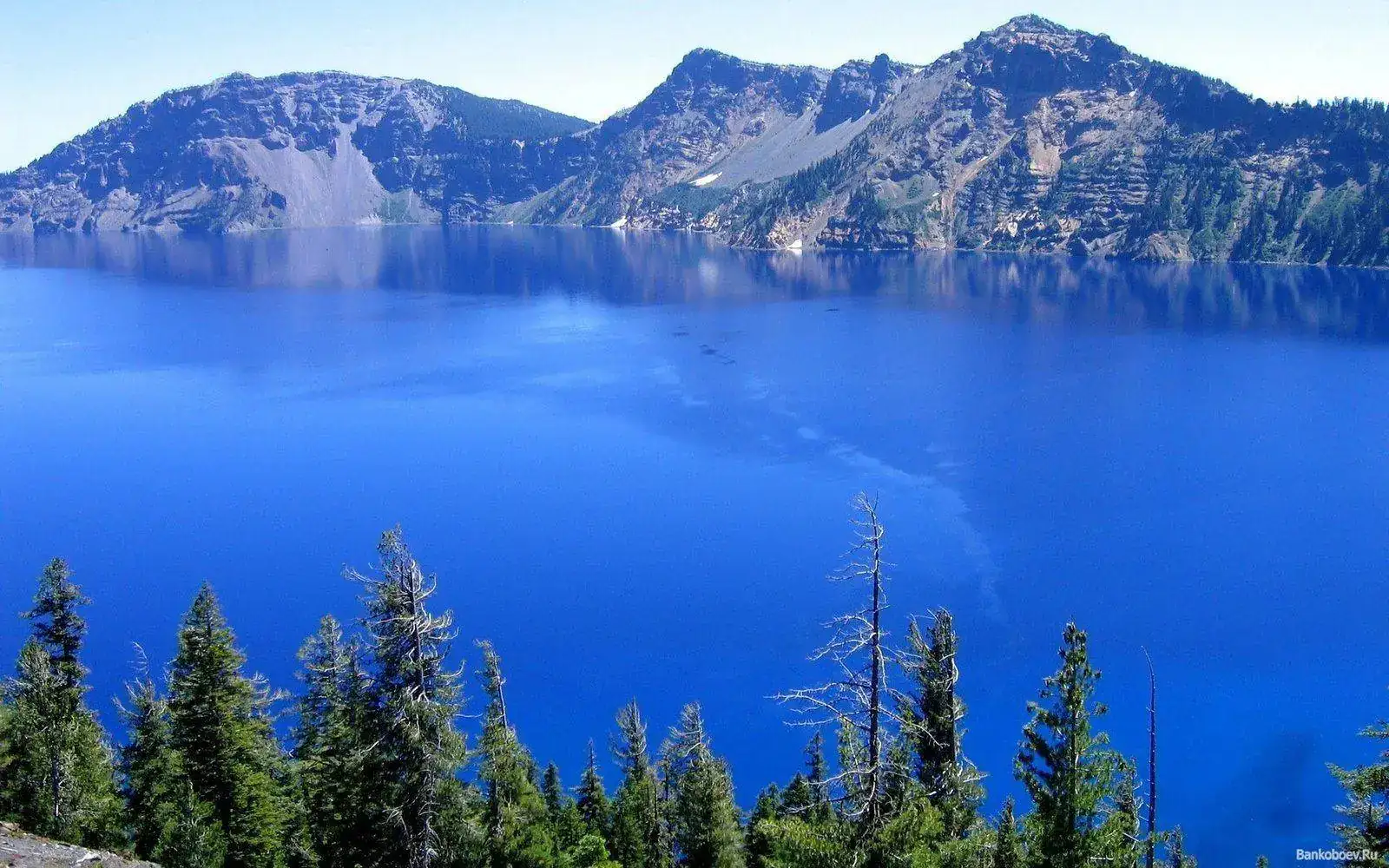39759122443_59c2d7eeeb_h.webp