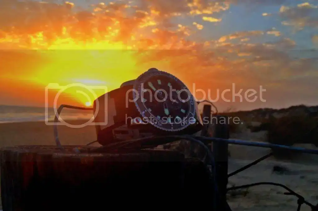 3AC1143B-E684-4202-90AD-56B0E979C5AA_zpswrbwkuv2.webp