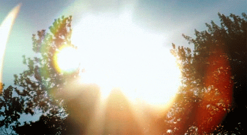 3C25268A-D0A8-4B9C-A07D-6852A348B8B5.gif