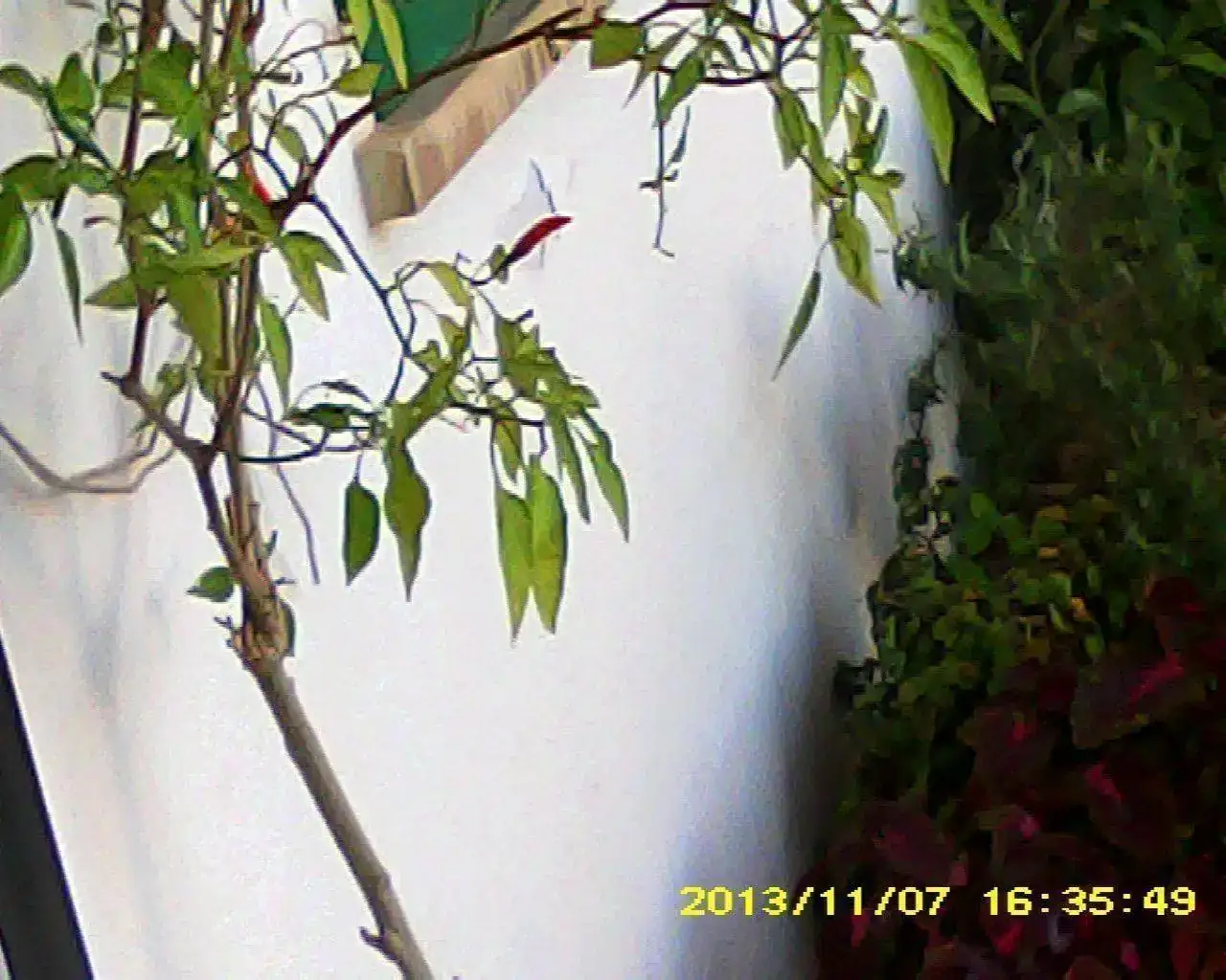 3c8a.webp