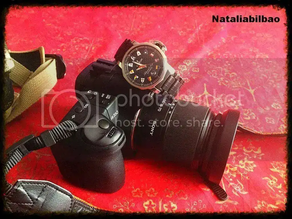 3ca7948a-df1f-4105-a60a-b514e54d227c_zpsd586e089.webp