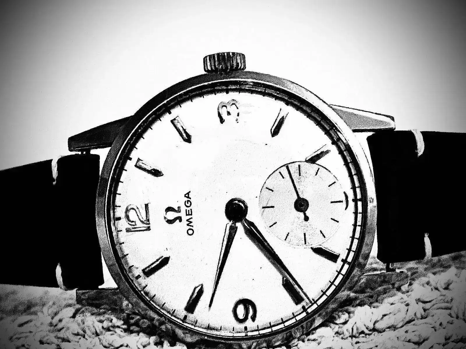 3ED431D4-7178-4B9F-A26B-D40819889F7E.webp