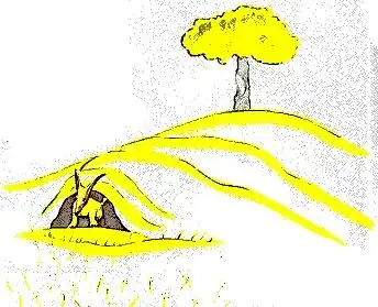 40.webp