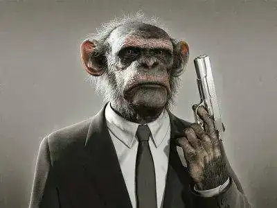 400_1194798935_mono-armado.webp