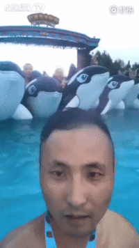 4015eb6b920981f58f6a4473a8454bdc_w200.gif