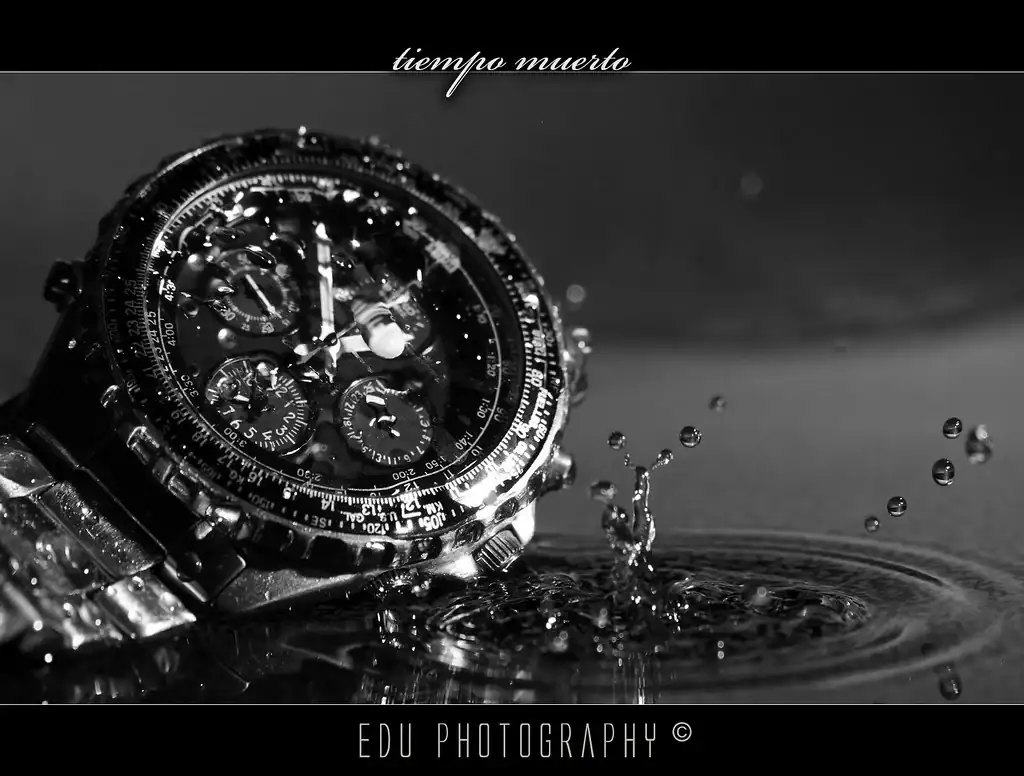 4090758636_4822ee86ba_b.webp