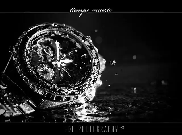 4090762854_7a09ceb0a0_z.webp