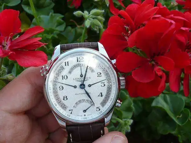 4098060229_1af0dc7975_z.webp