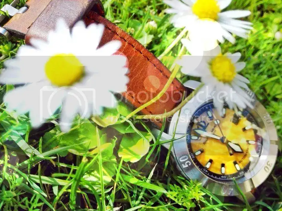 40cd93bc91f98822e0902cf700339728_zps953ziv0k.webp