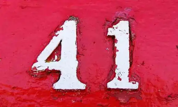 41.webp