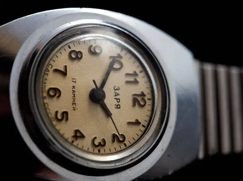 41559615942_d7953cf65c_c.webp