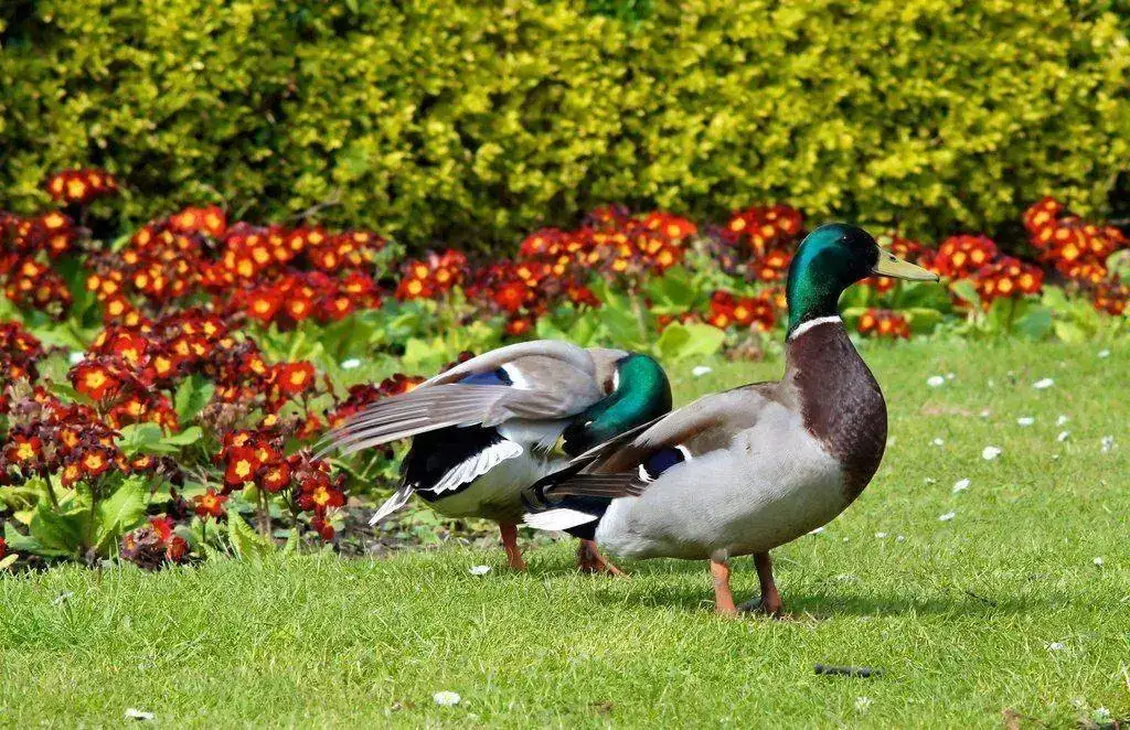 4158_DSC01508_1.webp