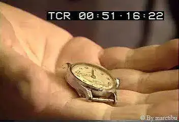 41630738015_9ab837f10a.webp