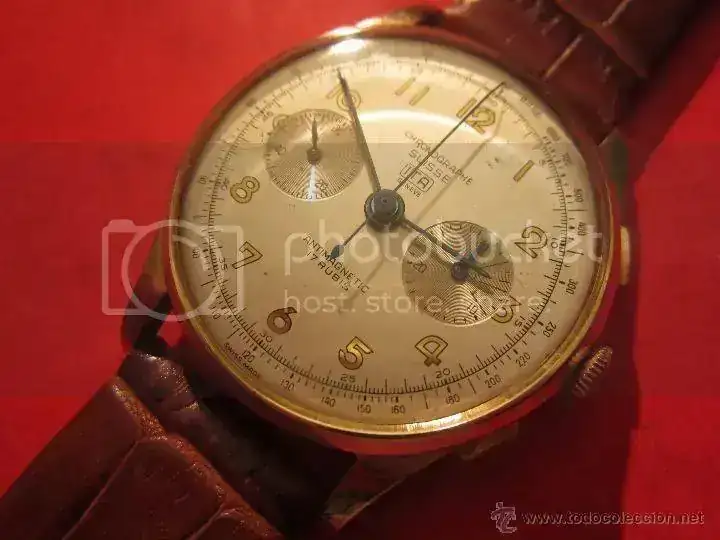 42213570_zpspiplojei.webp