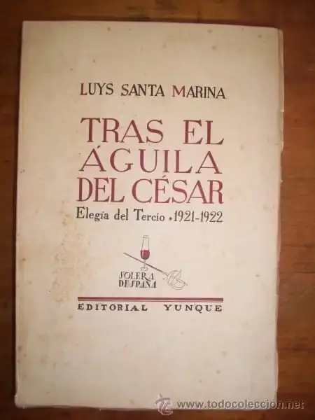 42478343.webp