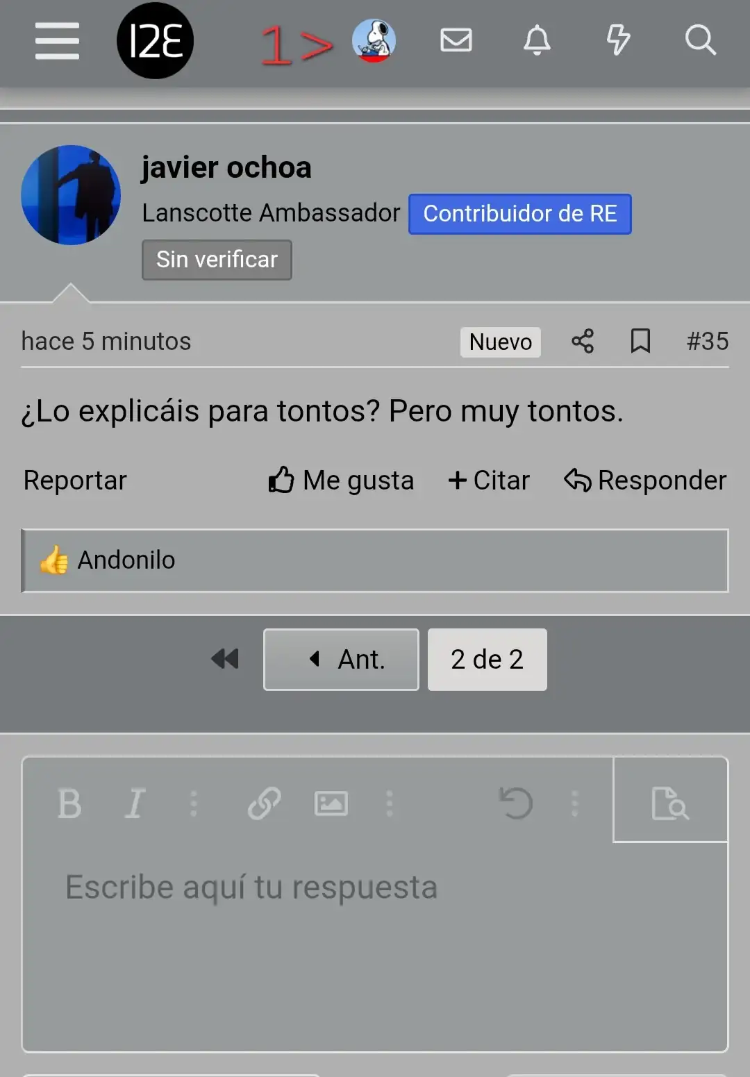 43051.webp