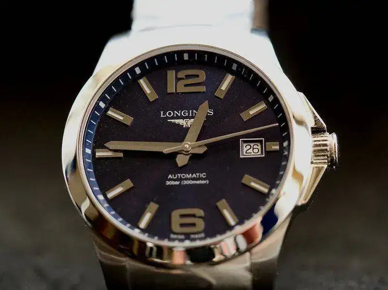 43114875040_7d2ab63c8e_c.webp