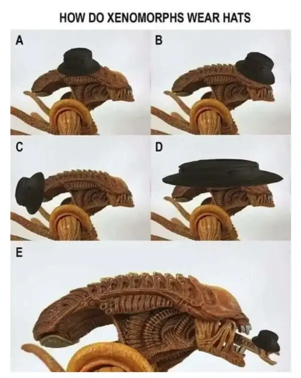 43e5c8e_meme_otros_como_vestiria_alien_un_sombrero.webp