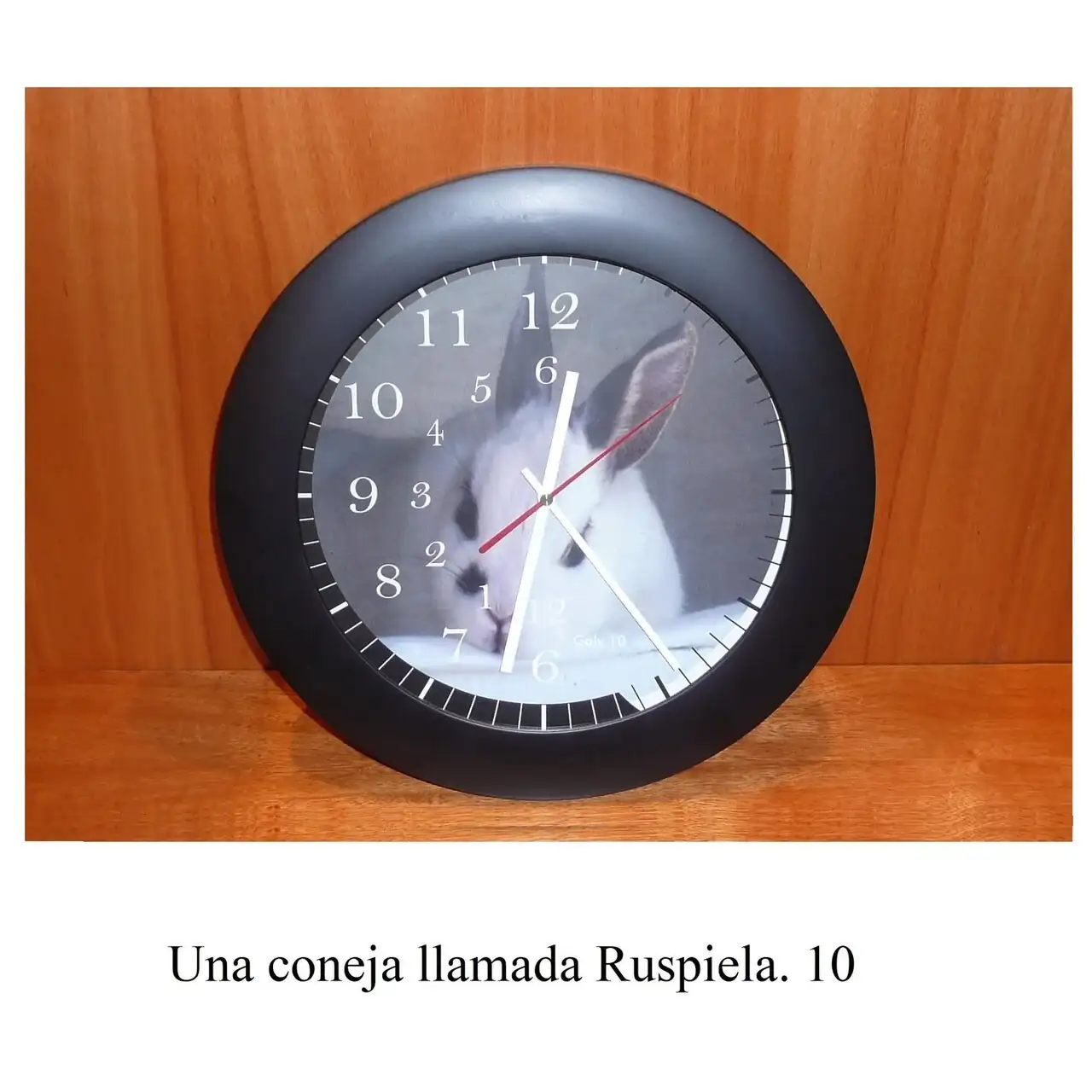 440914347_448937194295856_8337929372978922196_n.jpg
