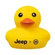 44420.webp