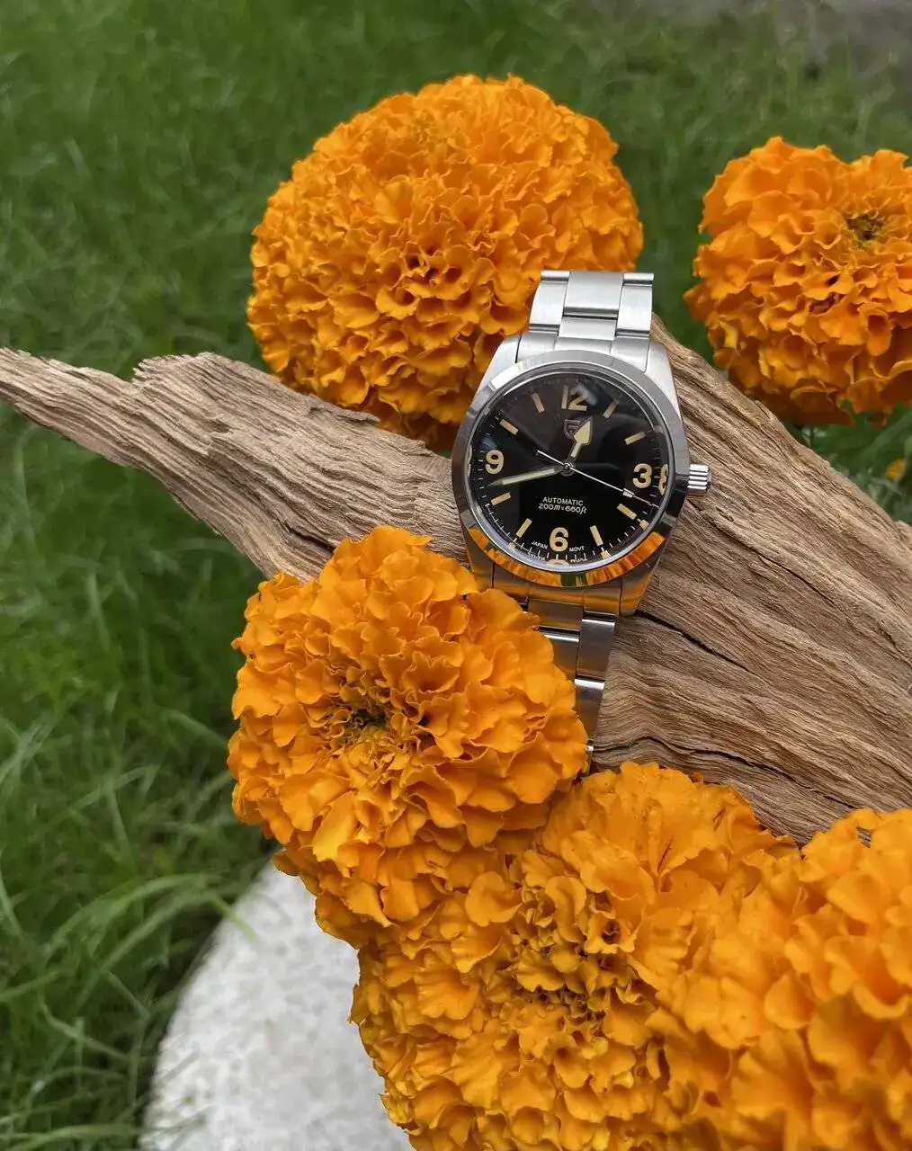 44792973-F8ED-465F-828F-5CF73BD44428.jpeg