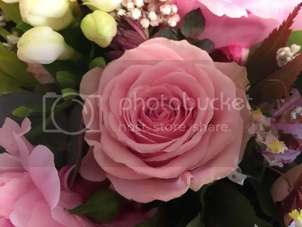4539FCAB-D496-40C2-AD0E-76B2B5CD4579_zpsadmedham.webp