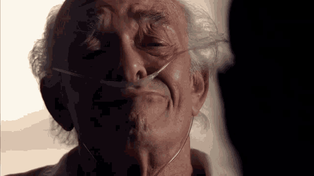 468-AC0-B6-F811-4628-9748-9-E9-B5-D5413-E1.gif