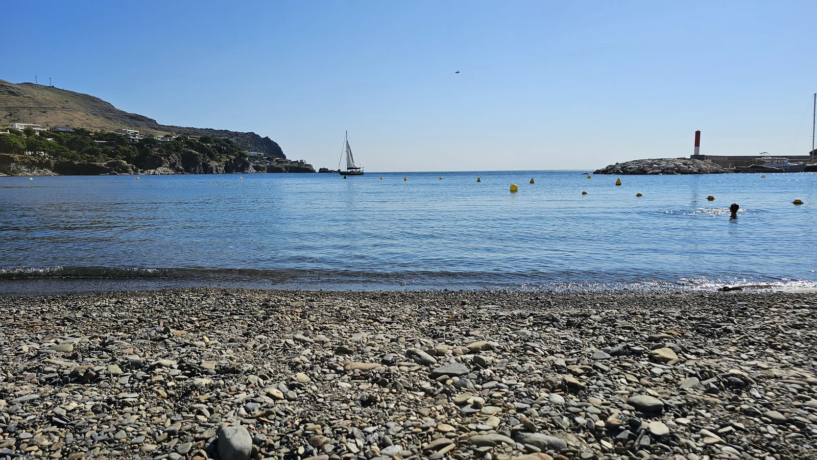 47516.webp