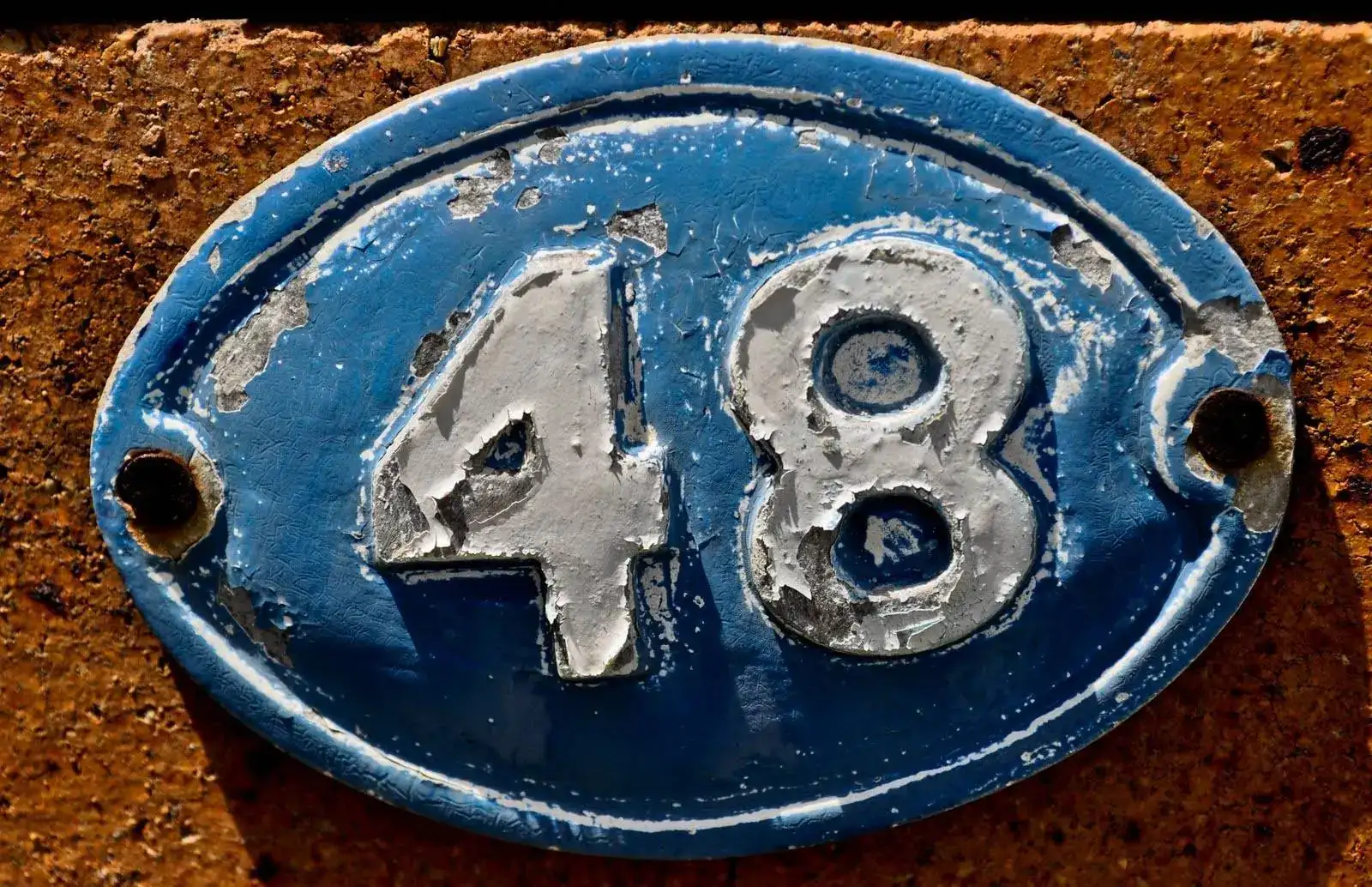 48.webp
